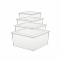 Set de Caixas de Arrumão Transparentes